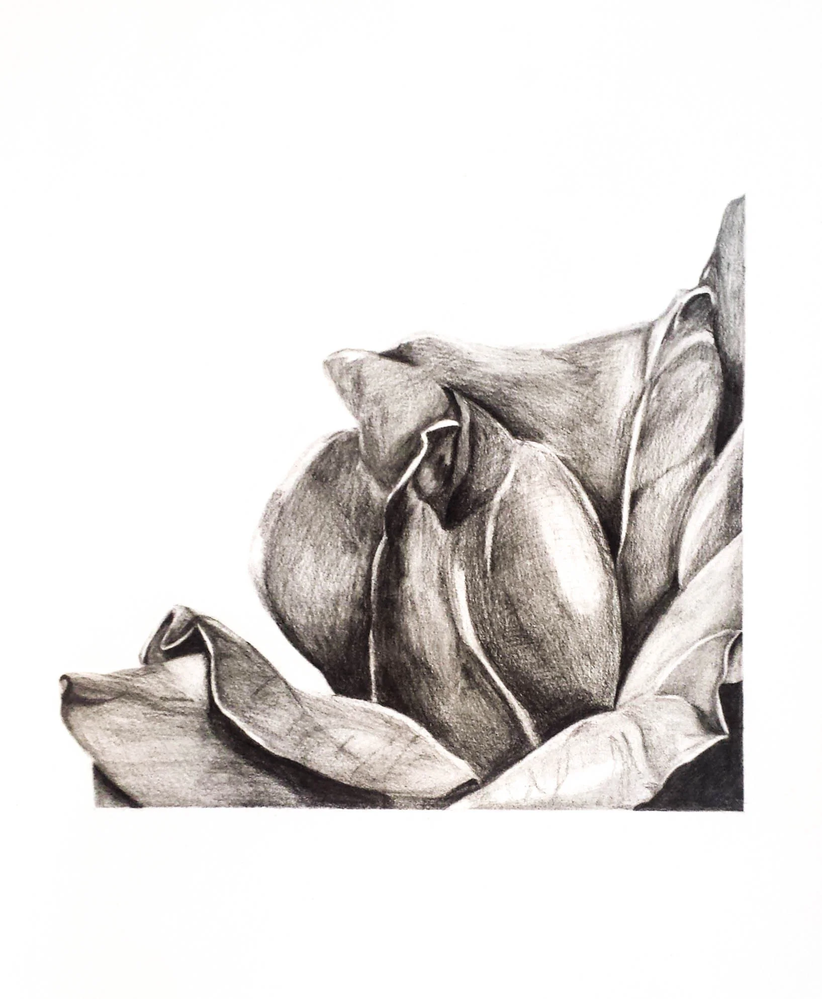 sketches (1 of 1).jpg