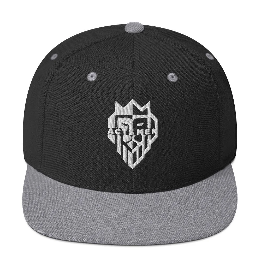 classic-snapback-black-silver-front-65e744e2a2d9c.jpg