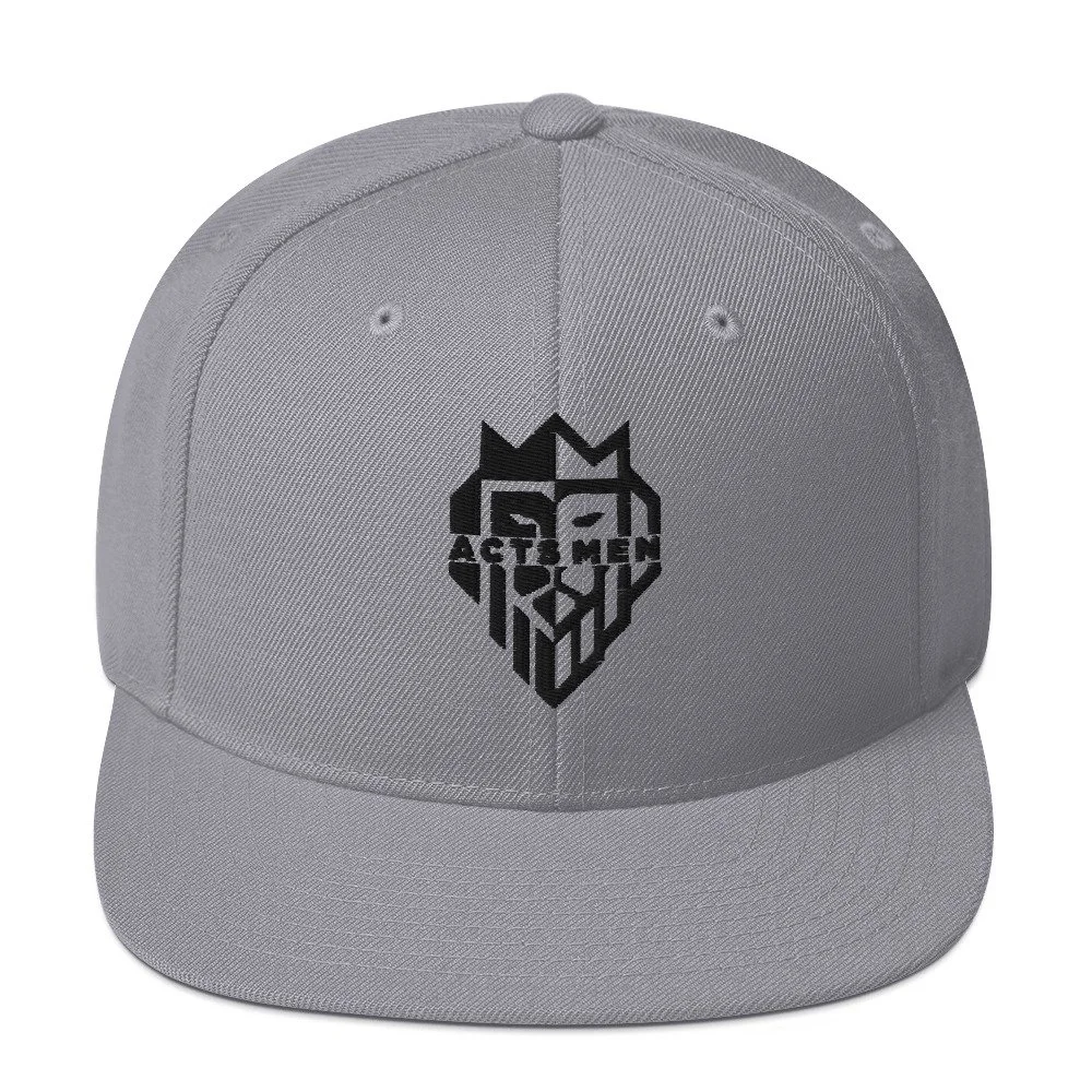 classic-snapback-silver-front-65e7454c160a2.jpg