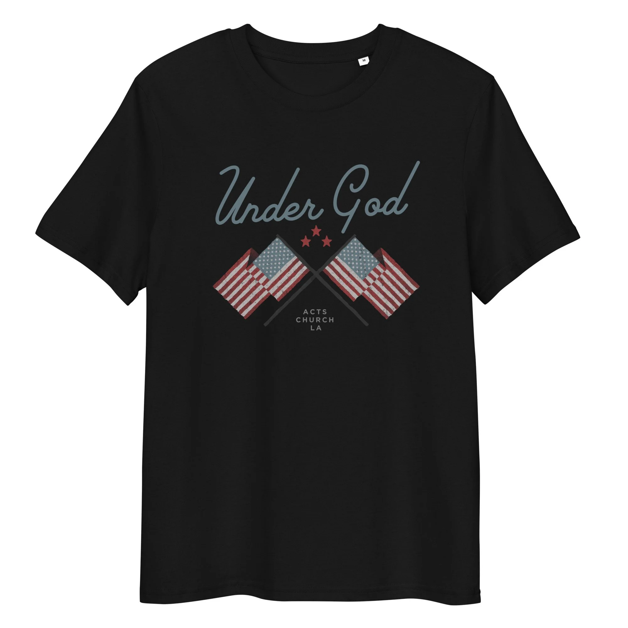 unisex-organic-cotton-t-shirt-black-front-66633c428d535.jpg