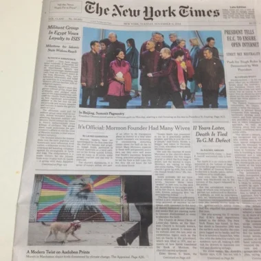 Peter Daverington's Bald Eagle on the front page of The New York Times.