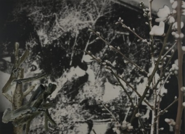 John Young Flower Market (Nanjing 1936) #2 , 2010, digital print and oil on Belgian linen, 240 x 331 cm