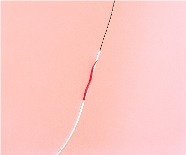Lydia Wegner, Full Pink , 2013, archival inkjet print, 50x60cm.