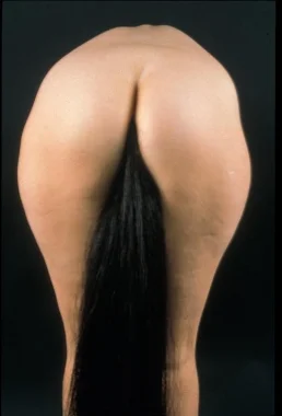 Julie Rrap, Horse's Tale , 1999, cibachrome photograph, 120x120cm.