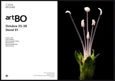 Maria Fernanda Cardoso, Naked Flora , 42x28cm, 2013.