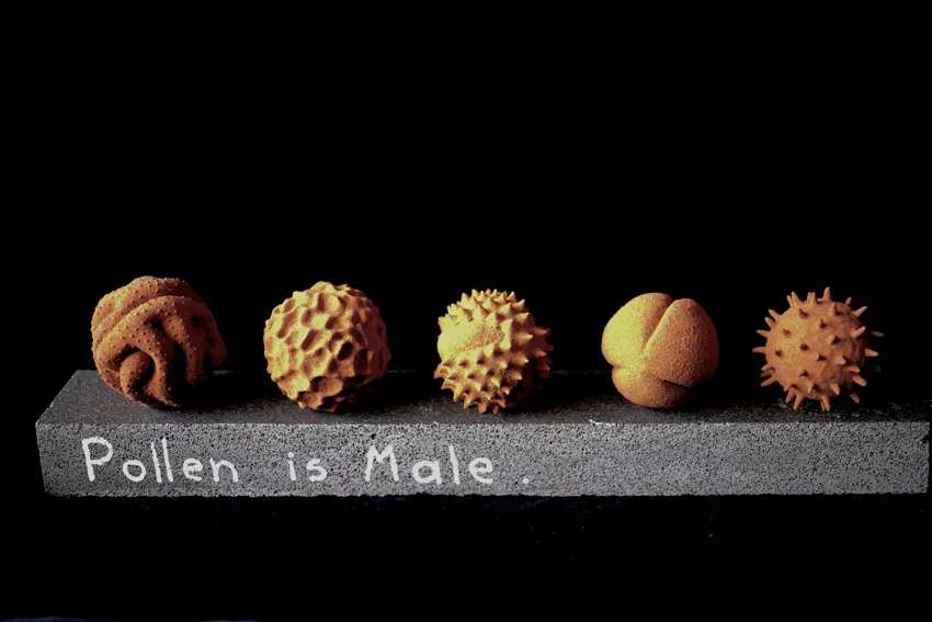 Maria Fernanda Cardoso, Pollen is Male, 2012-14, nylon, glue, desert sand, 40 x 10 x 10 cm