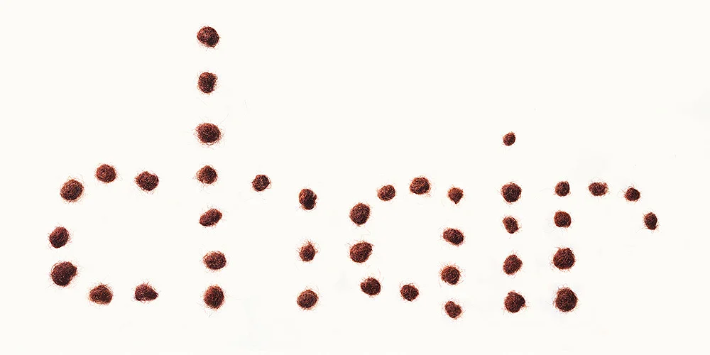 Not a true red #1 (c)hair , 2010, Digital Pigment Print on Archival Paper, 25 x 50 cm