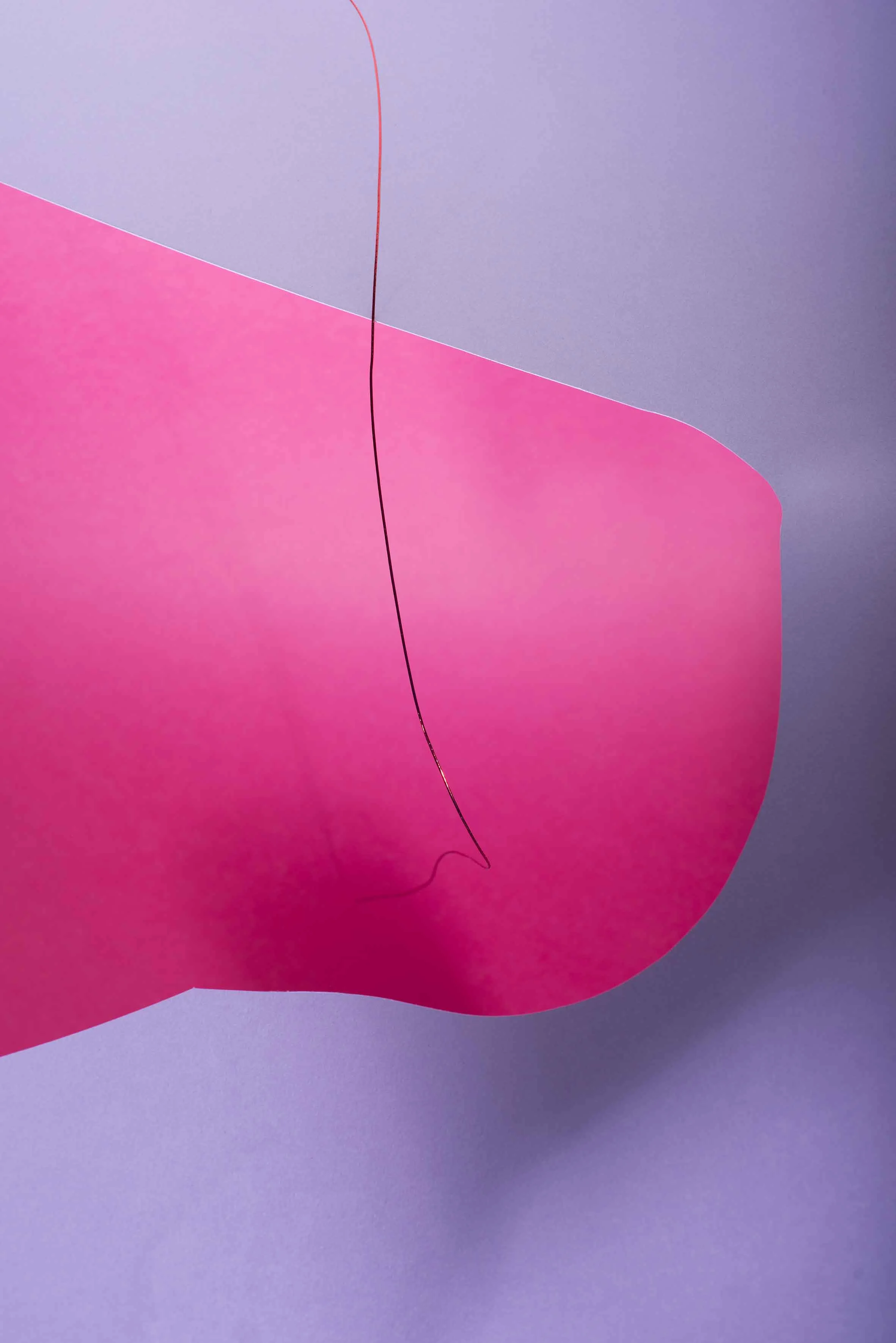 Pink Point , 2015, Archival Inkjet Print, 78 x 52 cm