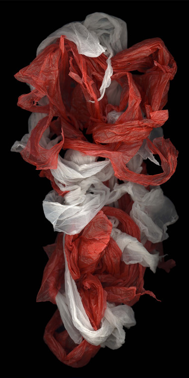 Fragment No.1 , 2008, Chromophotograph, 244 x 122 cm