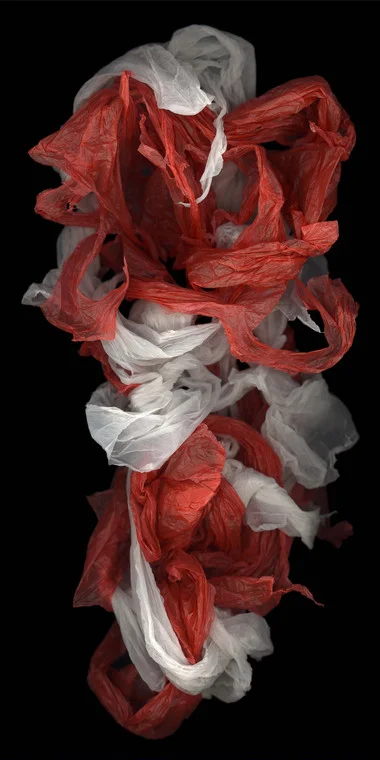 Fragment No.1 , 2008, Chromophotograph, 244 x 122 cm