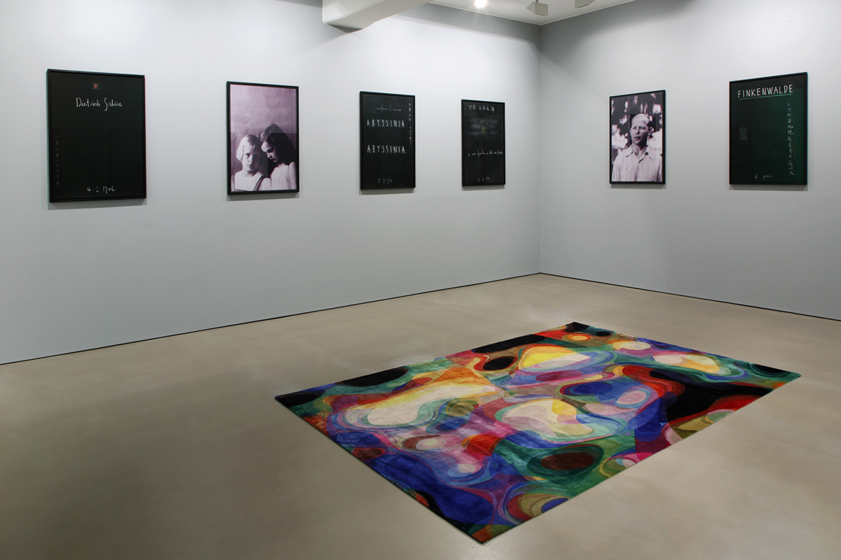 The Bonhoeffer Concept , installation view, 2011