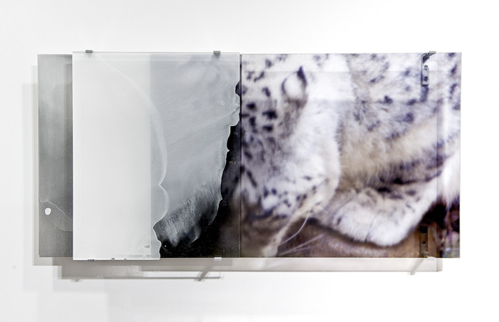   JANET LAURENCE    vanishing series / yearning VIII  2010 Duraclear, Mirror, Oil on Acrylic, Aluminium 103 x 50 cm 