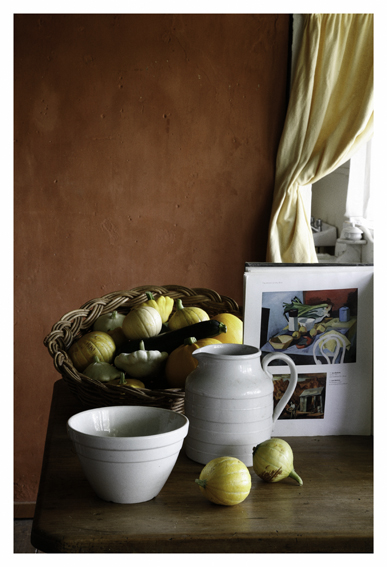   ANNE ZAHALKA     Still Life #1  2010 Type C Photograph 30 x 20 cm  