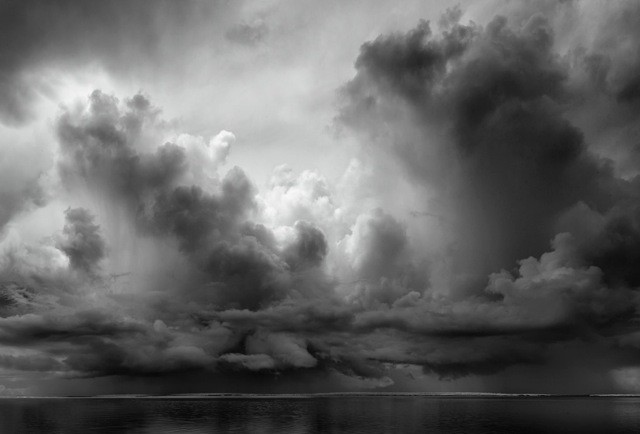   MURRAY FREDERICKS     Hector 9  2011 Pigment print on cotton rag   160 x 128  cm 