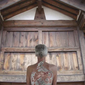   ROSE FARRELL &nbsp;GEORGE PARKIN   The Dragon Kingdom   2010   Digital Colour Print on Archival Cotton Rag 50 x 45 cm  