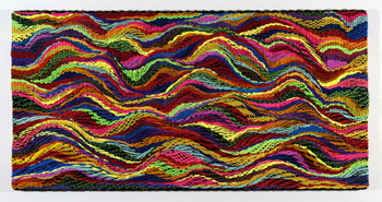   DANI MARTI     Landscape #1  2004 Polypropylene / nylon rope/ wood 150 x 300 cm  