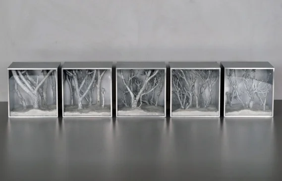 Out of the woods , 2015, perspex, aluminium, glass, wood and pigment, 10 x 10 x 8.6 cm (each)