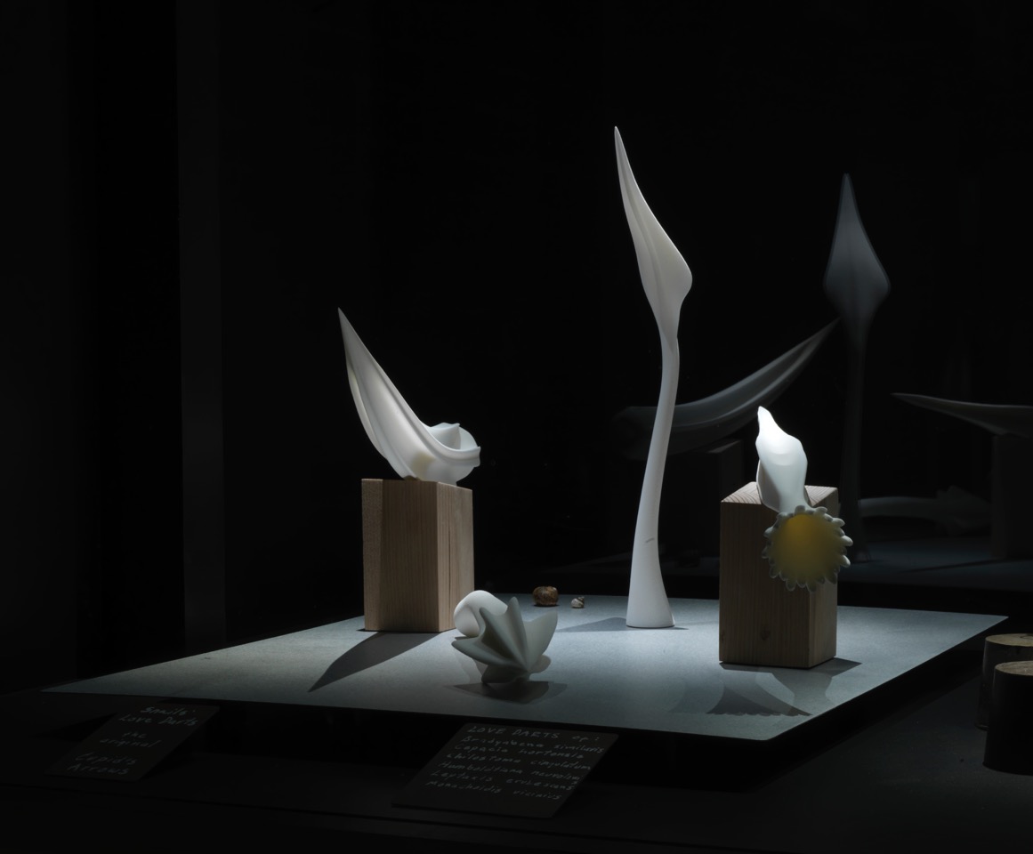 Maria Fernanda Cardoso, Museum of Copulatory Organs - Love Darts (detail), 2012. 