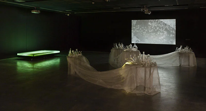 Janet Laurence and Andrew Belletty, River Journey , 2016, multimedia installation based on the audio and visual research archive of Professor Richard Kingsford. Installation view, UNSW Galleries, Sydney. Photo: silversalt