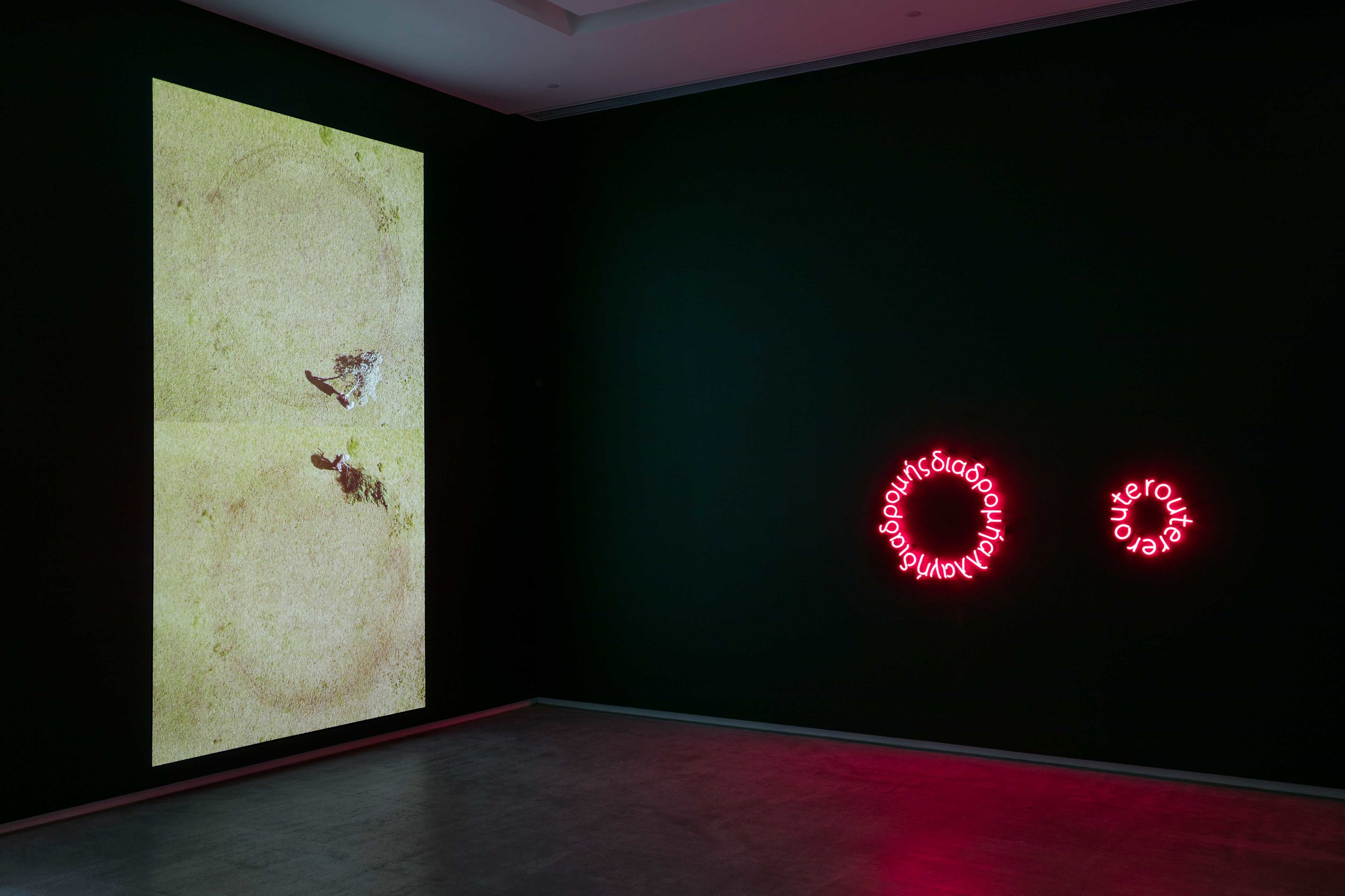 Eugenia Raskopoulos, rootreroot & routreroute , 2016. installation view Tarrawarra Biennial 2016: Endless Circulation. Photo: Andrew Curtis