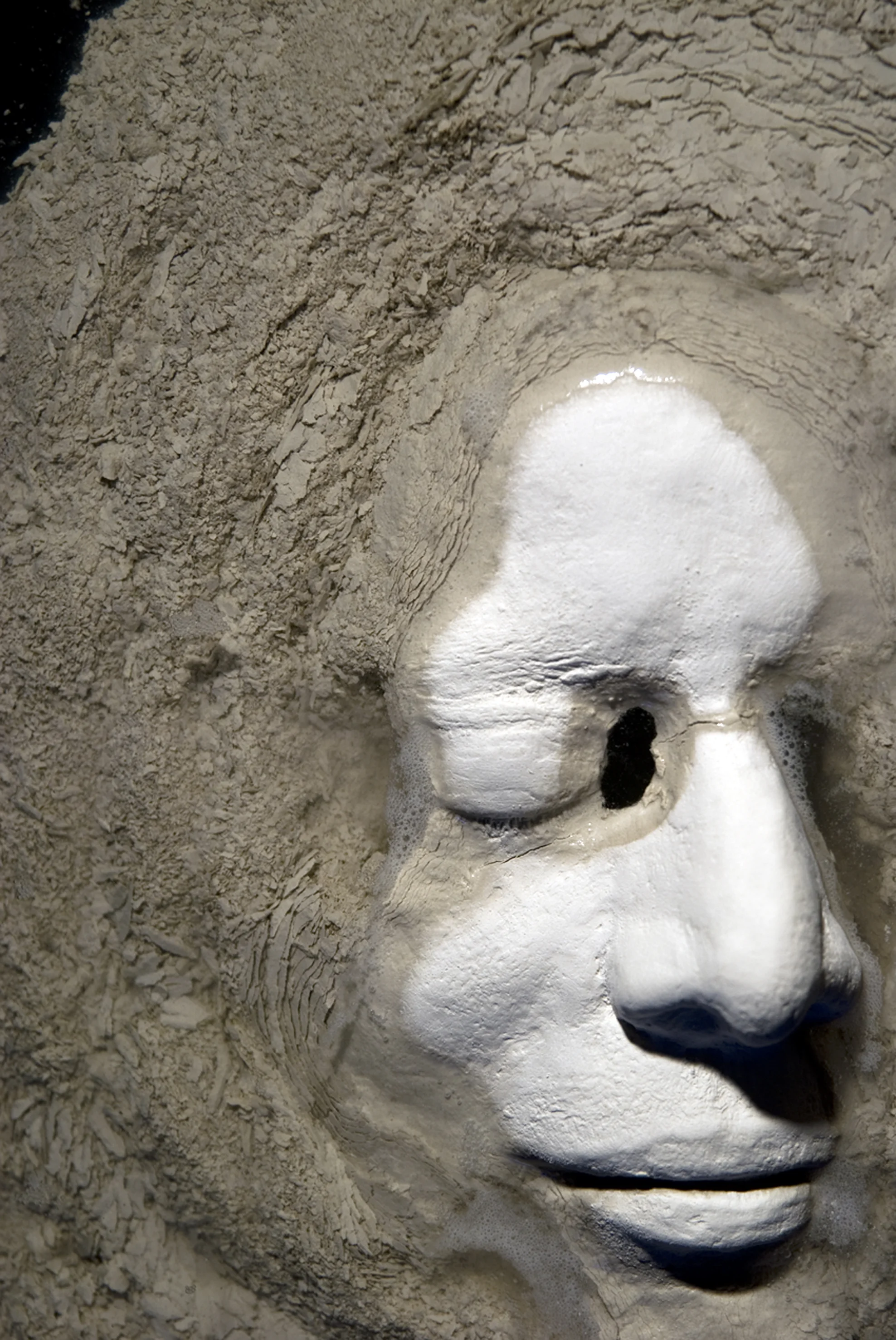 Image: Cyrus Tang, Memento Mori , (video still) 2010, 2 channel video in loop. 