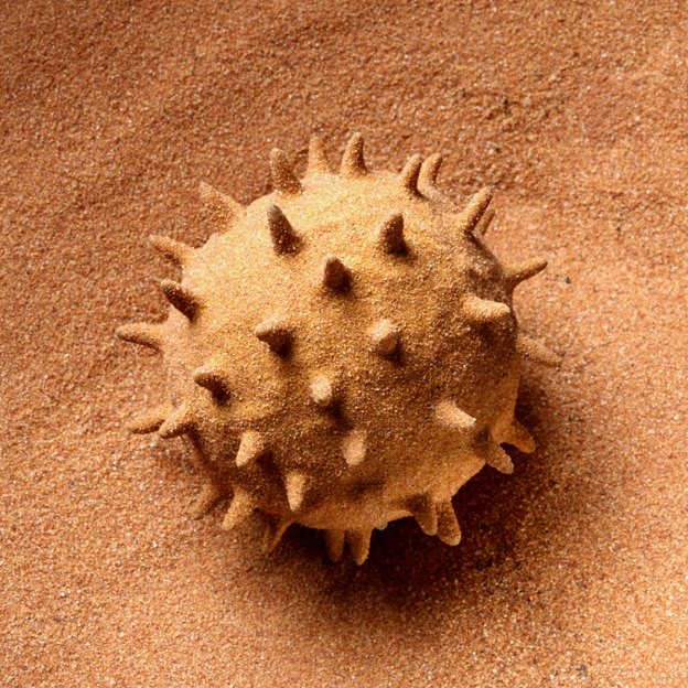 Maria Fernanda Cardoso, Pollen is Male 2, 2014, nylon, glue, desert sand, 6.1 x 5.8 x 5.6cm. 