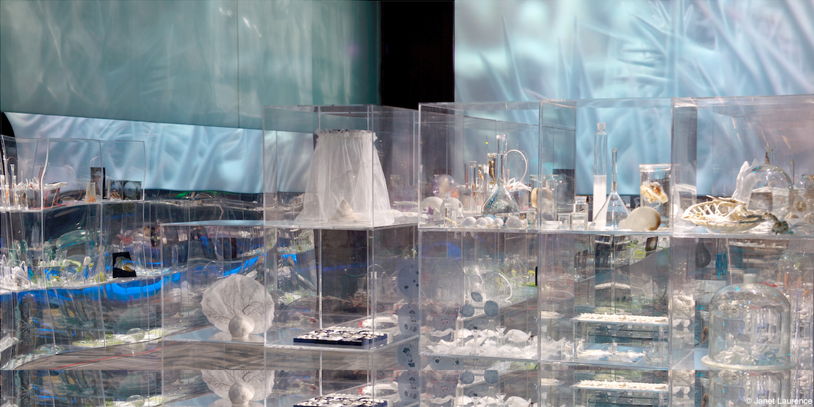 Janet Laurence, Deep Breathing: Resuscitation for the Reef, installation view