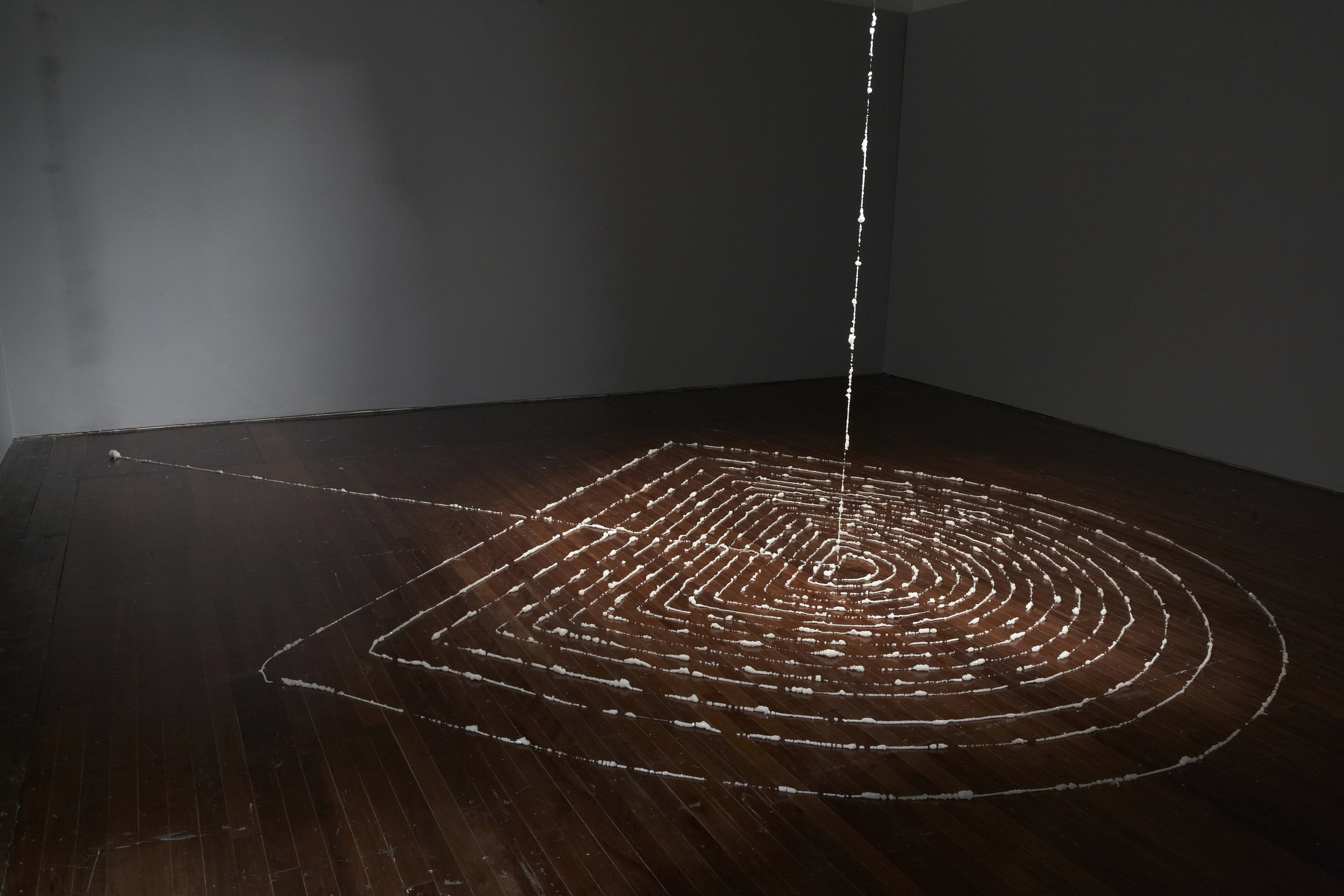   CYRUS TANG   Momentary Gleam  (Installation view) 2011 89 meters long human hair and crystal Dimensions variable 