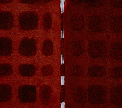   MARIA FERNANDA CARDOSO   Little Red - Sheep  (detail)  2002  8 dyed sheep skins Dimensions variable 