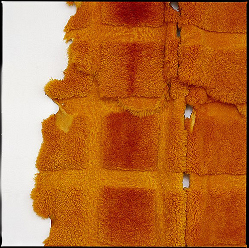   MARIA FERNANDA CARDOSO  Orange - Sheep (detail) 2002 Dyed sheep skins Dimensions variable 
