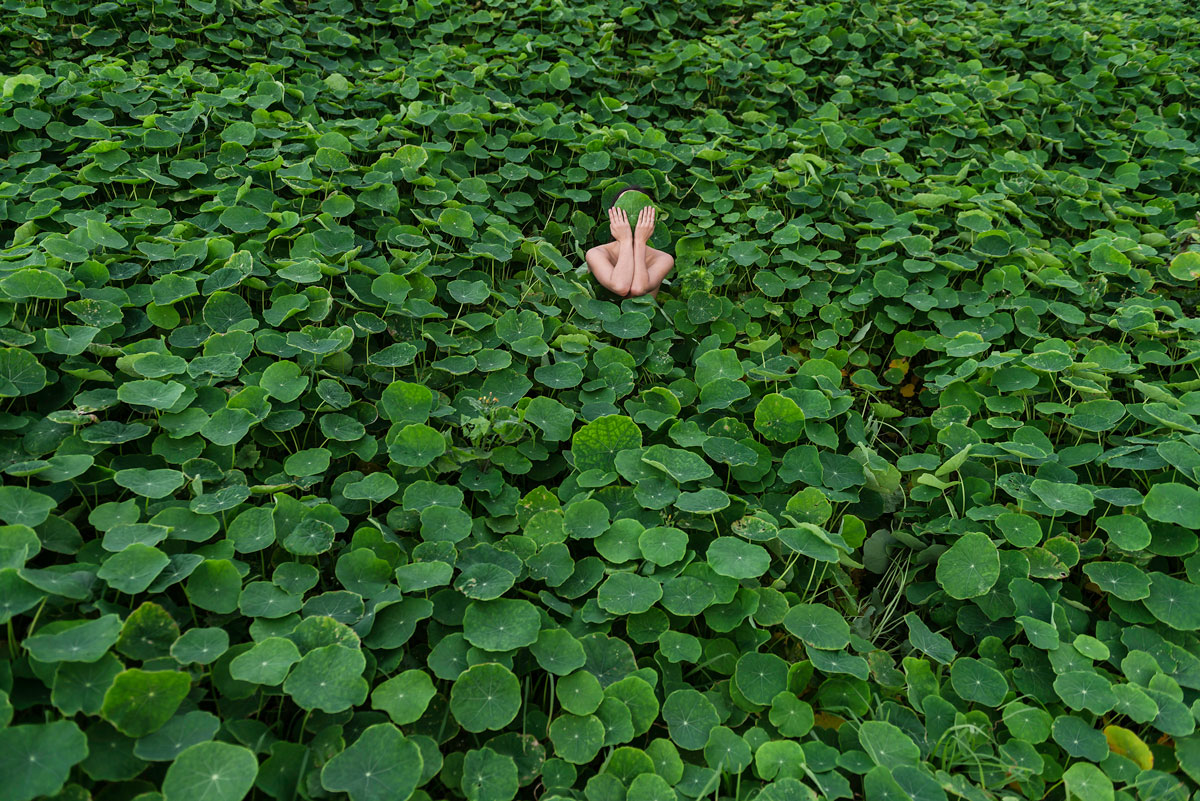   HONEY LONG &amp; PRUE STENT   Nasturtium II  2014 Archival pigment print Edition of 5 + 3 AP 72 x 108 cm &amp; 106 x 157 cm 