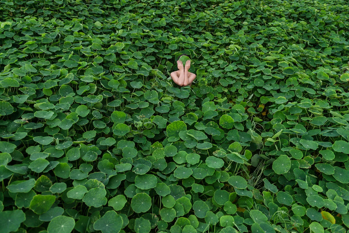 HONEY LONG & PRUE STENT Nasturtium II 2014 Archival pigment print Edition of 5 + 3 AP 72 x 108 cm & 106 x 157 cm