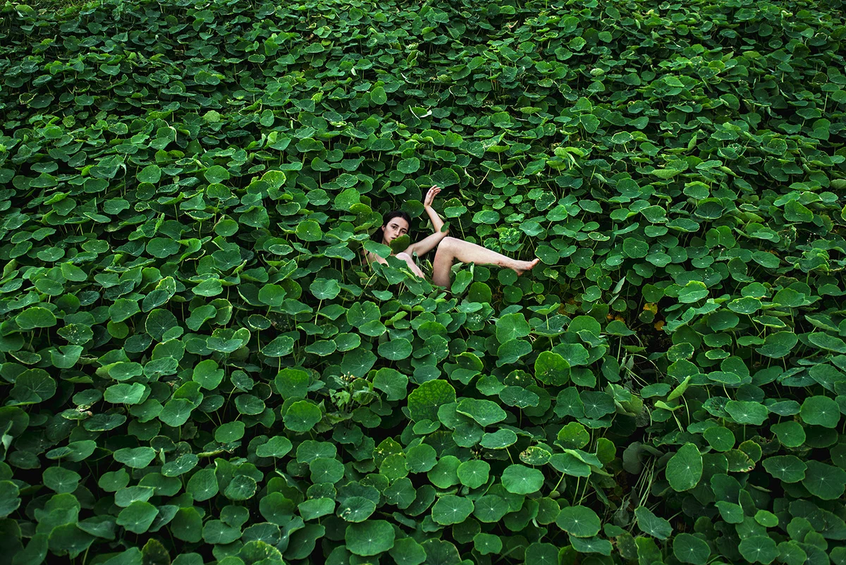 Honey Long & Prue Stent, Nasturtium I , 2014, archival pigment print, 72 x 108 cm.