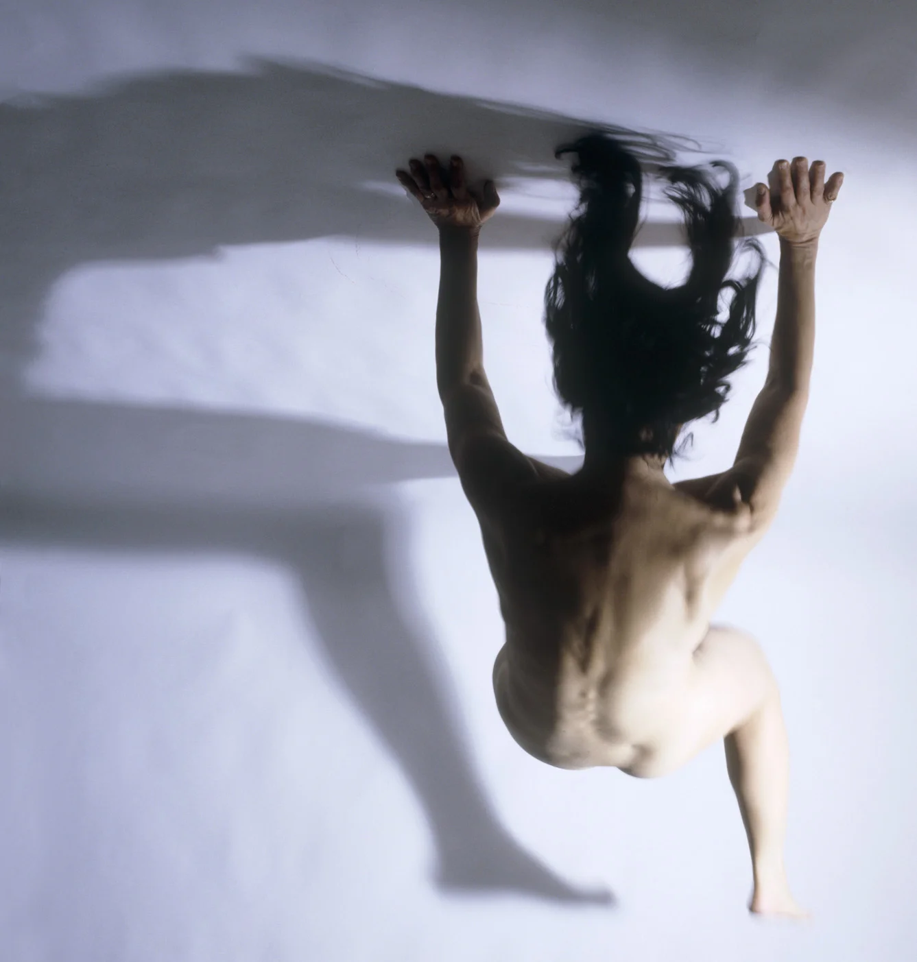 Julie Rrap, Yaw , 2004, pure pigment prints on acid-free rag paper, 167 x 152 cm.