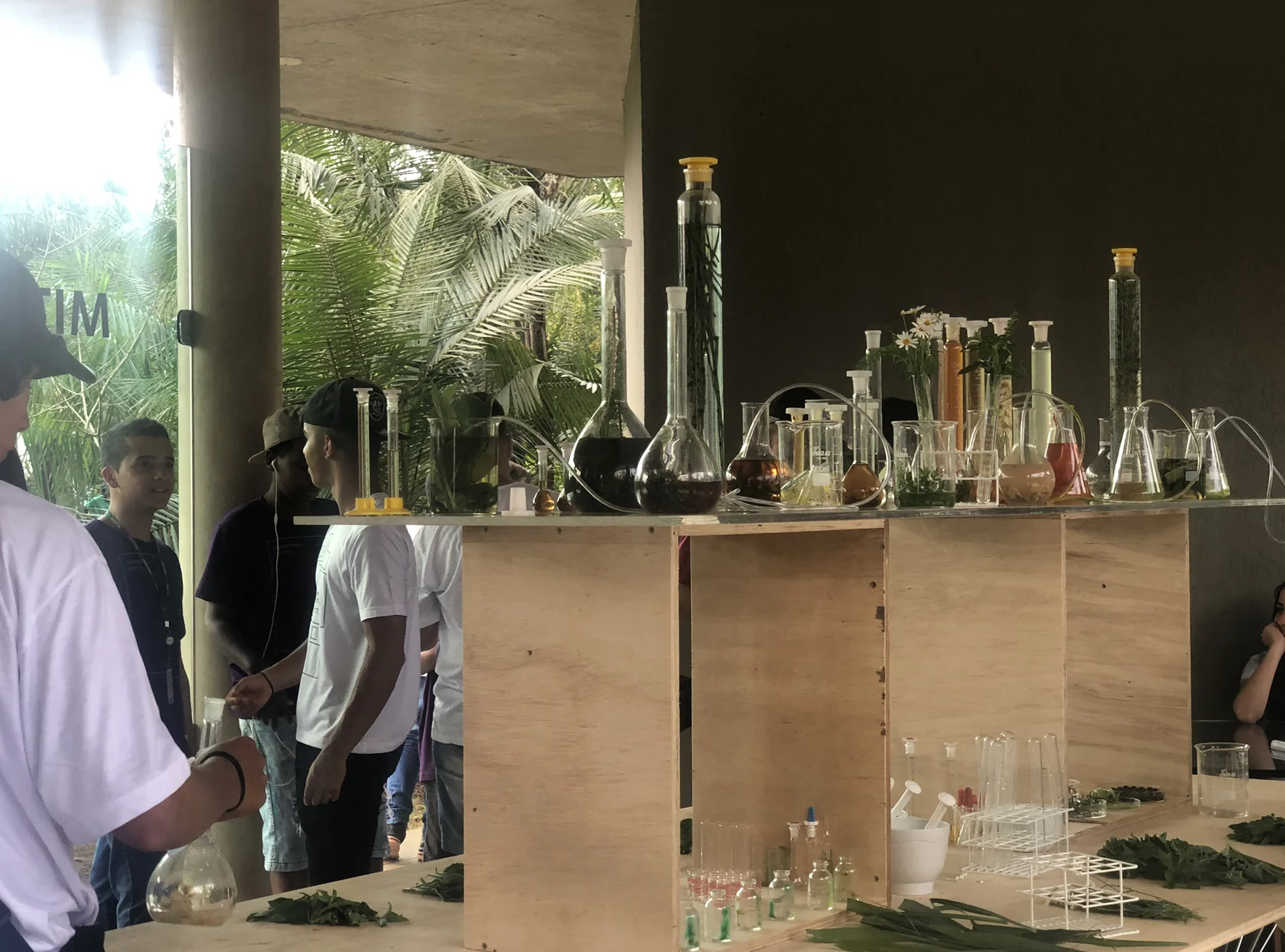 Janet Laurence, Installation View, The Elixir Lab , Inhotim Institute, Brazil, 2018
