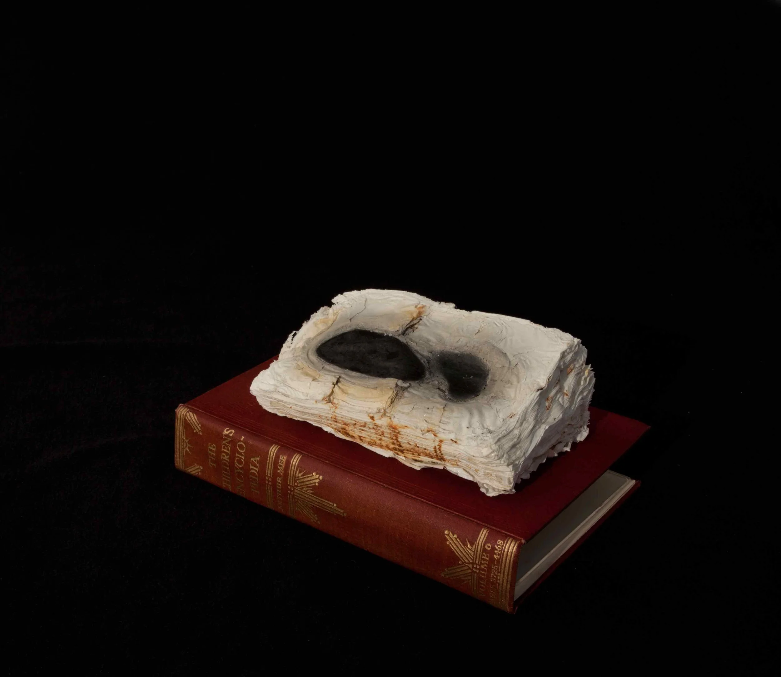 Cyrus Tang, Children’s Encyclopaedia Vol. 6, 2016, cremated book ashes, book cover acrylic case, 29 x 21 x 21 cm.