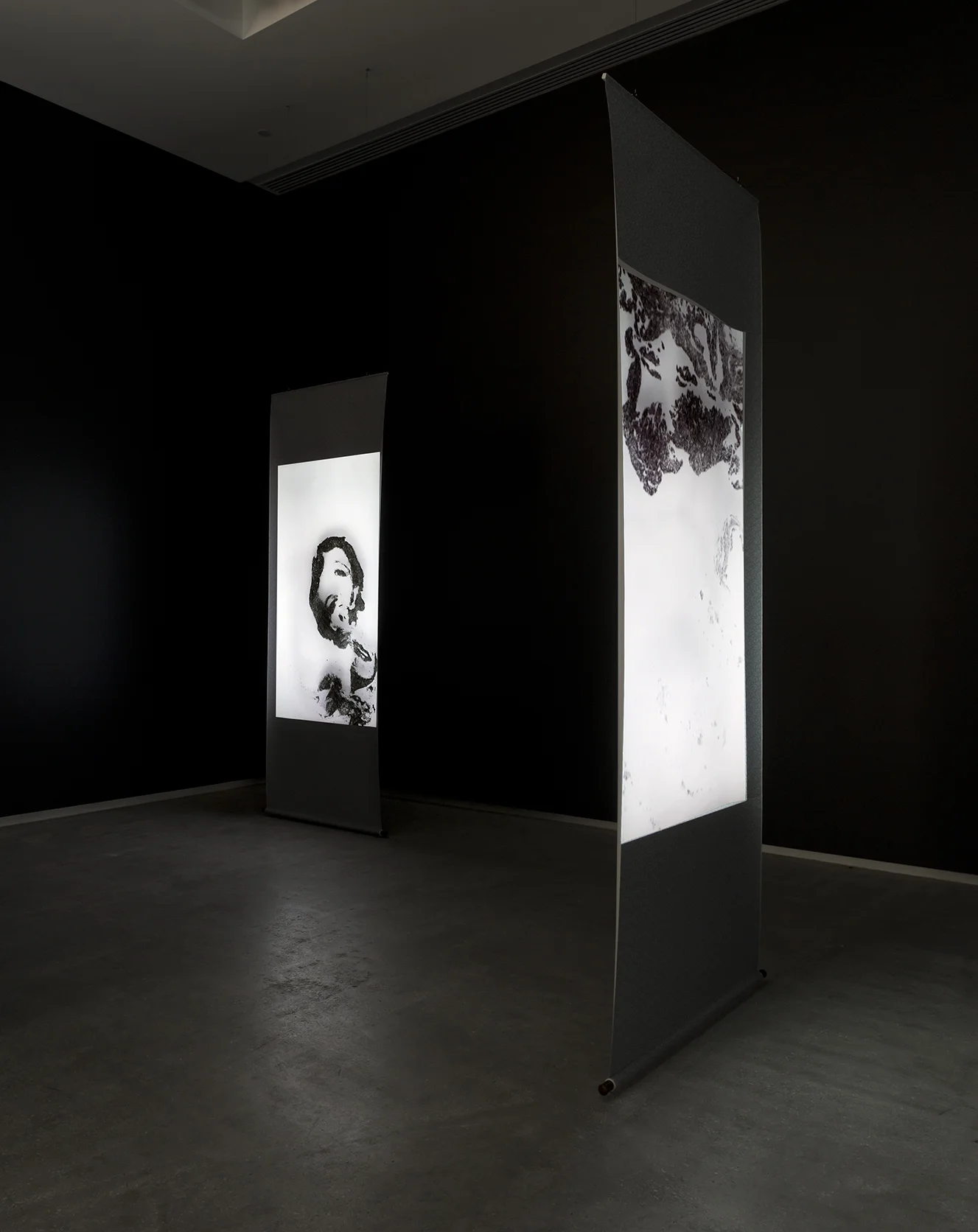 Cyrus Tang, The Final Cast Off , 2016-17, 2 channel video projection on Chinese paper scroll, dimensions variable.
