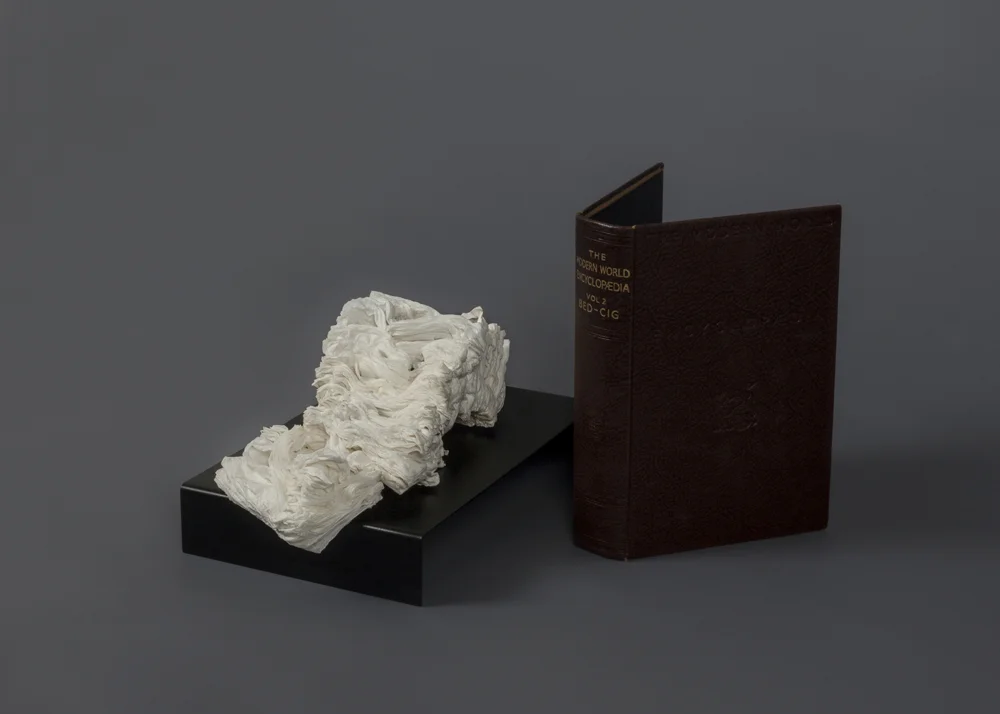 Cyrus Tang, The Modern World Encyclopaedia Vol.2 , 2017, cremated book ashes, book cover, dimensions variable.