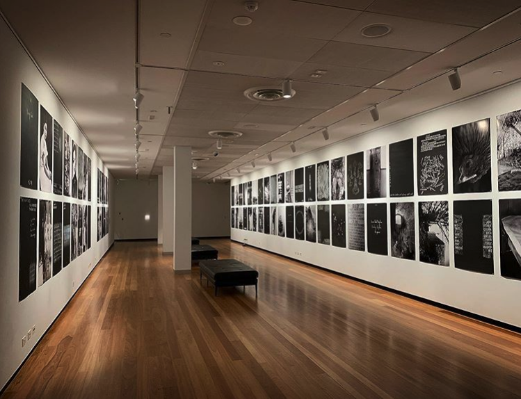 John Young, The Lives of Celestials , 2019, installation view at Hawthorn Arts Centre