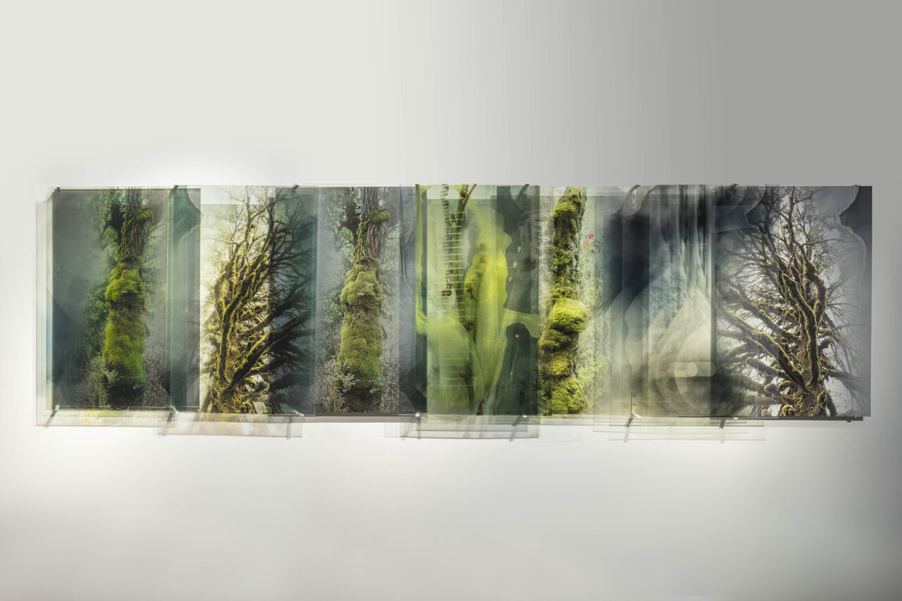   Sacred Green , from the series  Chlorophyll Collapse , 2018, Diabond mirror, dye sublimation archival print onto Chromaluxe aluminium and C type silver halide print on clear polyester  and oil glaze on acrylic, 100 x 370 x 7 cm 