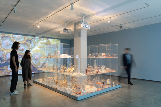   Deep Breathing-Resuscitation for the Reef,  2015-16,  Janet Laurence: After Nature  installation view, Museum of Contemporary Art, Sydney, 2019.  