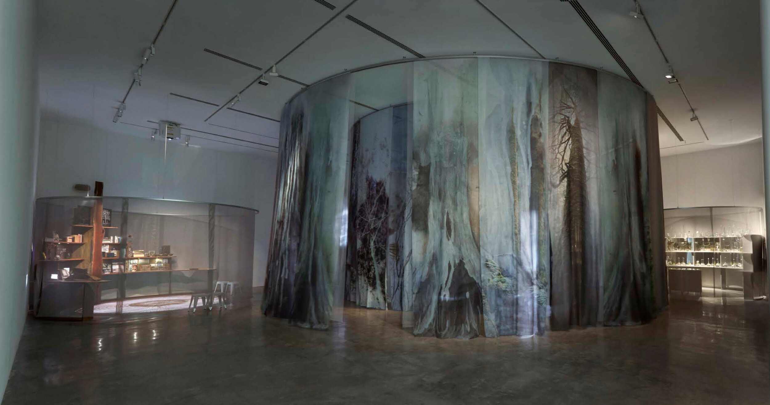   Forest (Theatre of Trees) , 2018–19, installation view,  Janet Laurence: After Nature , Museum of Contemporary Art Australia, Sydney, 2019. 