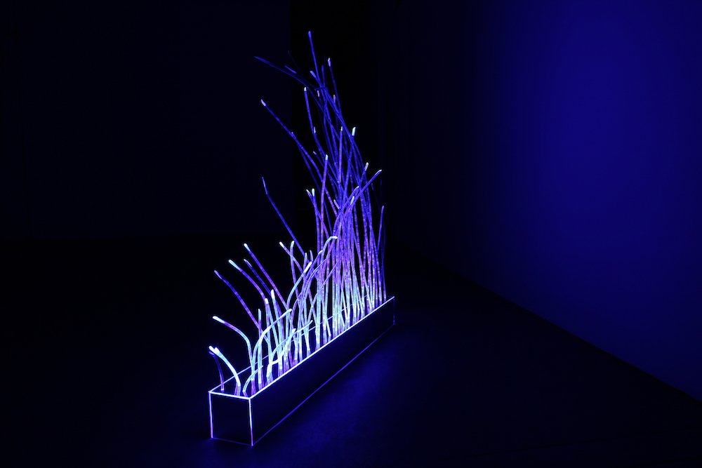   Cyber Plant - Blue , 2012, Acrylic, fluorescent light, 14 x 14 x 127 cm. 