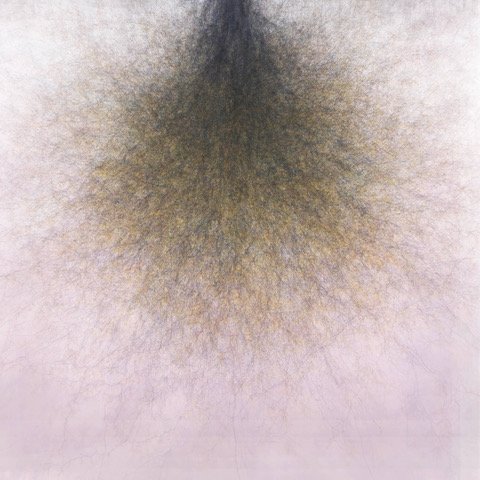  Cyrus Tang, Tree Study 2, 2022, Pigment print mounted on dibond, 80 x 80 cm.  