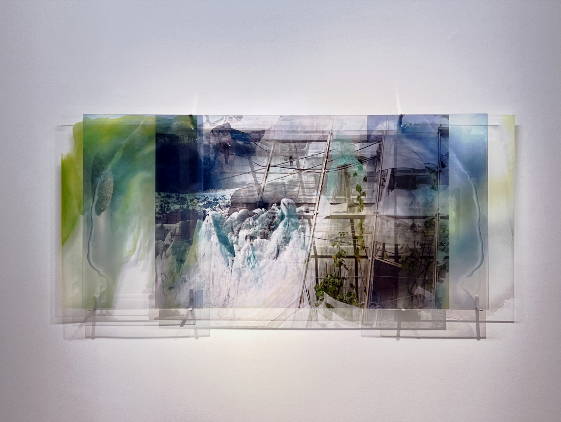   JANET LAURENCE  Once were Forests, from the Glacial Glasshouse series 2022 Duraclear on shinkalite acrylic, oil pigment 100 x 235 x 10 cm  