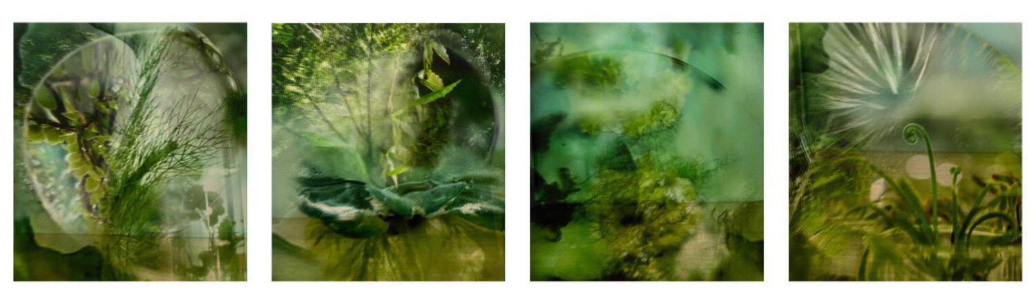 Verdant.jpeg