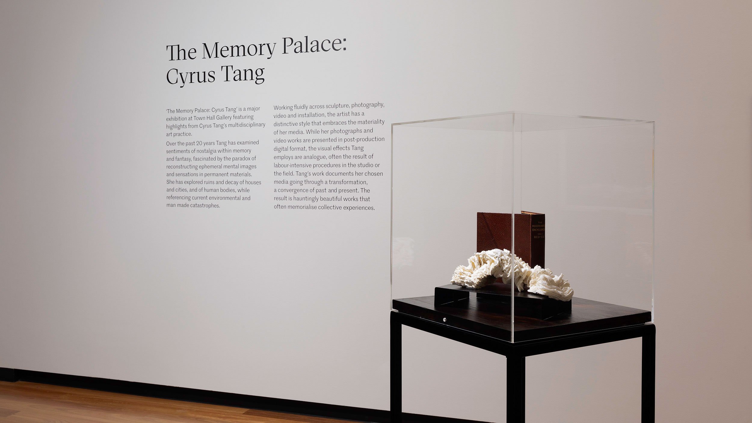 Cyrus Tang-Installation view of ‘The Memory Palace'-2.jpg