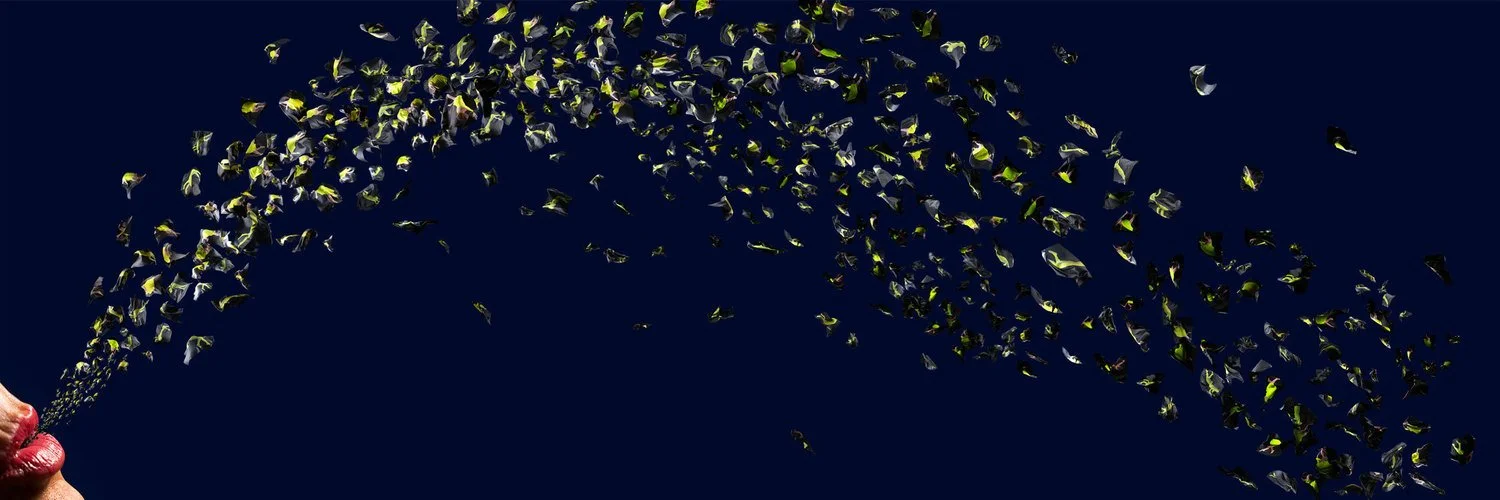   JULIE RRAP   Remaking the World #1 , 2015 Pigment print on paper on aluminium, edition of 3 150 x 450 cm 