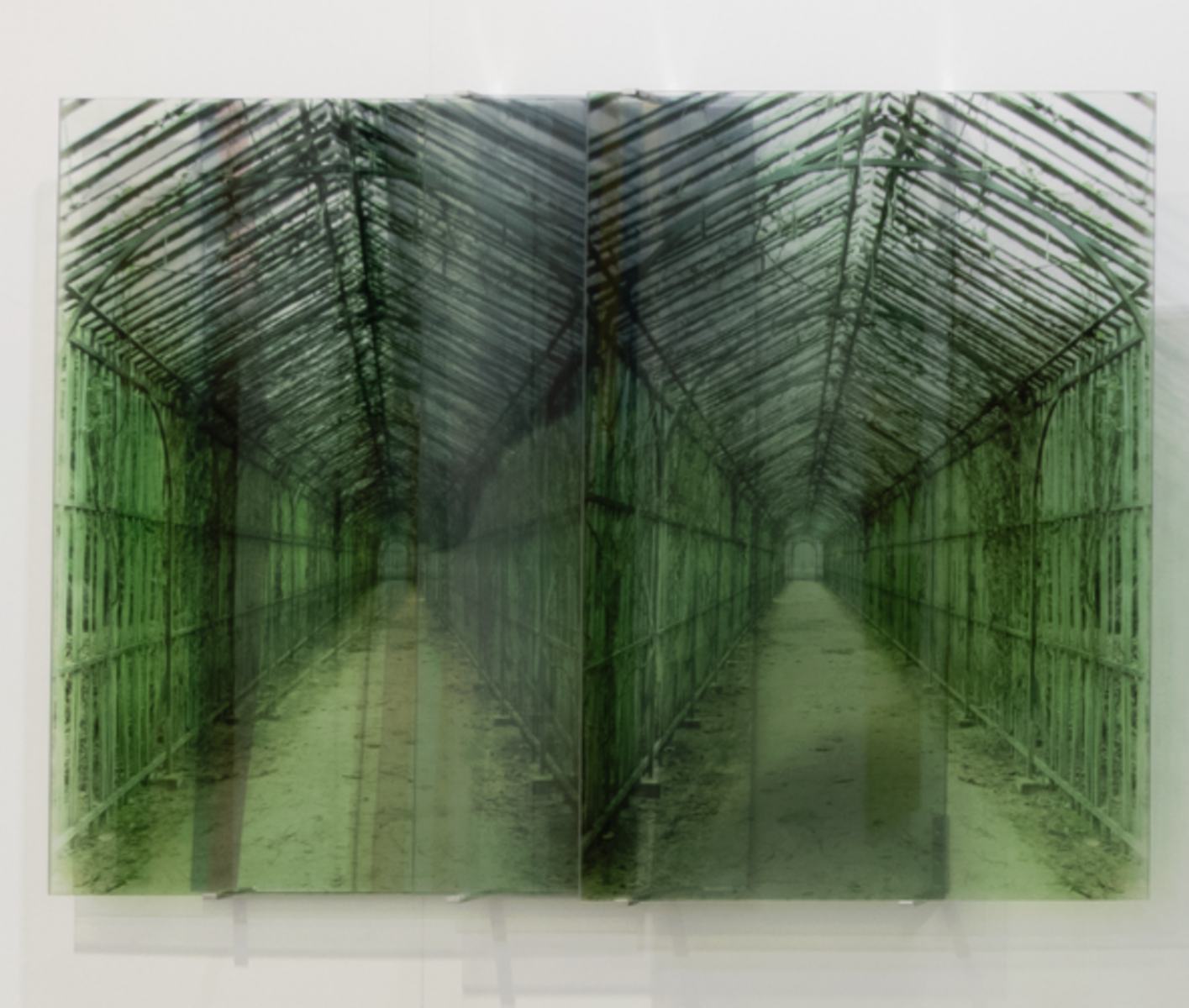  JANET LAURENCE   Transient Memory from Verdant , 2003-2020 Duraclear on acrylic, mirror, pigment 100 x 127 cm 