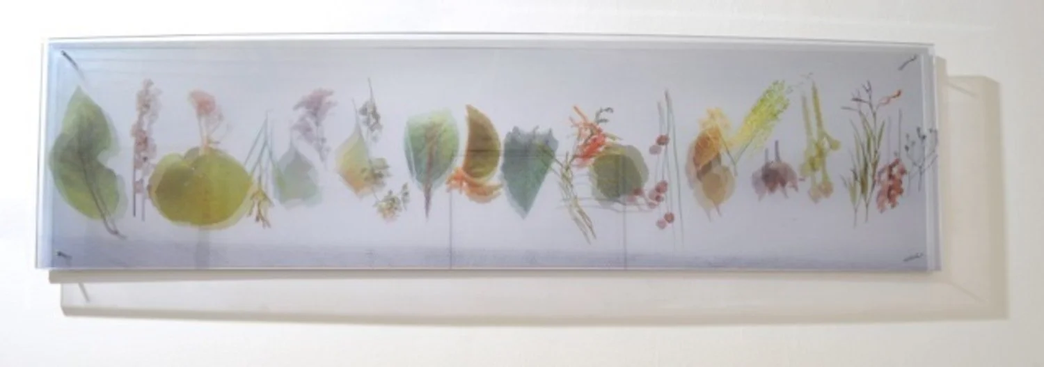   JANET LAURENCE   Within My Stride , 2013 Duraclear on acrylic, mirror, earth and pigment in oil 30 x 116 cm 